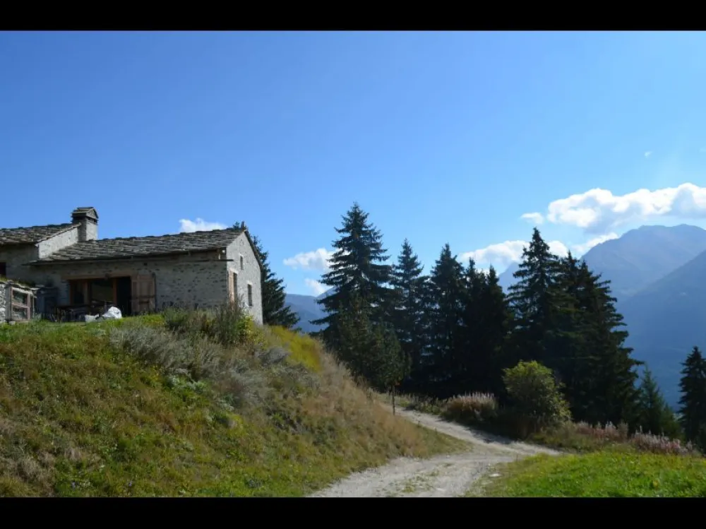 Chalet de l'ortet (5 chambres)