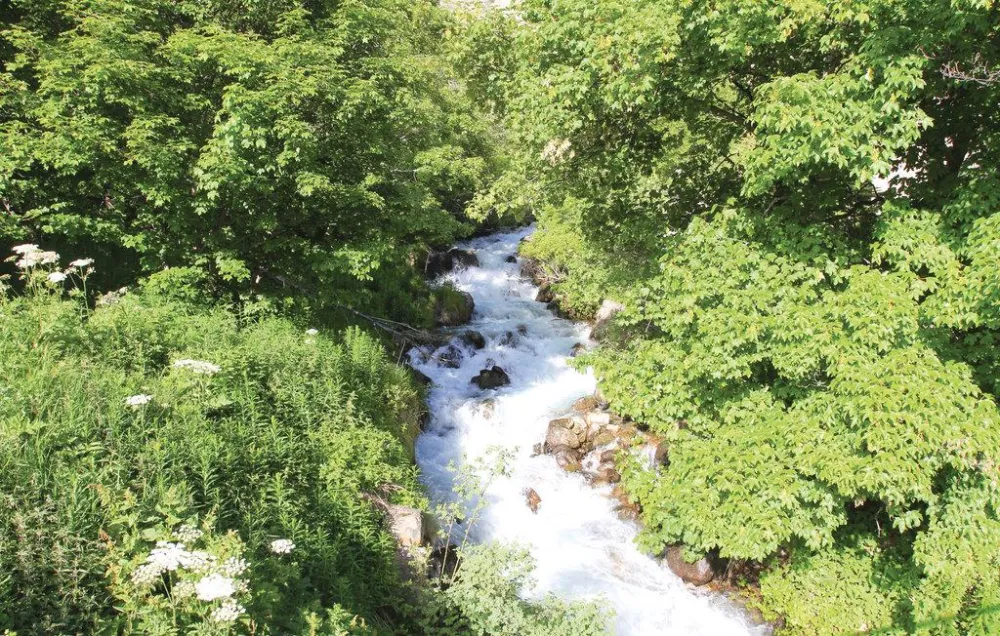 le torrent à truites qui descend de l'Alp du Lauzet,  à quelques mètres de la maison...