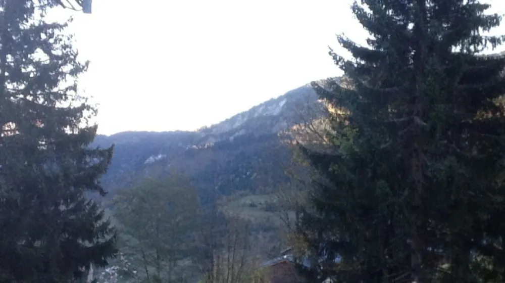 Annexe l'orée des bois - t3