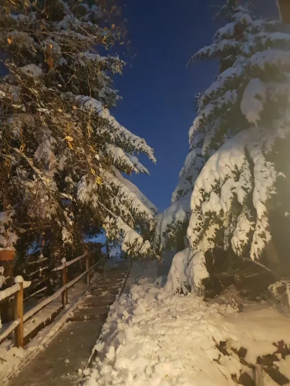 Chalet fougère  a 20 mètres des pistes    8 couchages