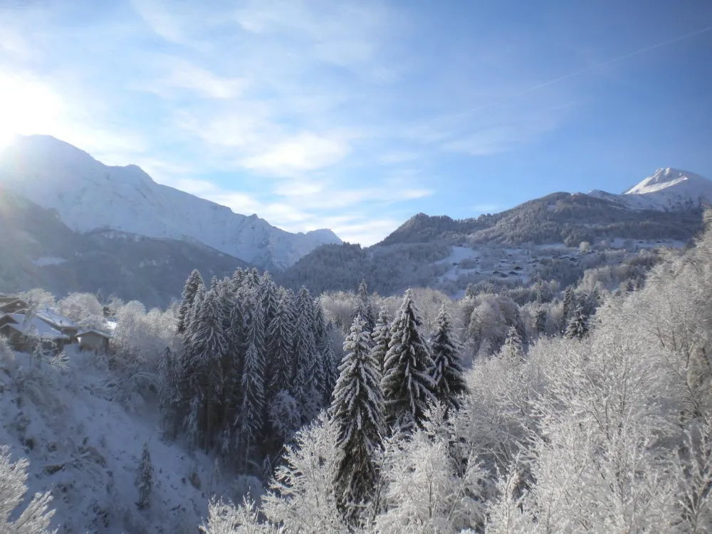 Vue de l'appartement l'hiver (vue Dômes de Miage et à droite le Mt-Joly)