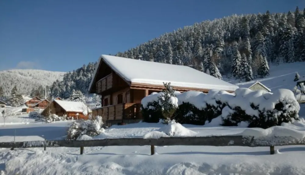Chalet tout bois pour famille, indépendant, tarif tout compris