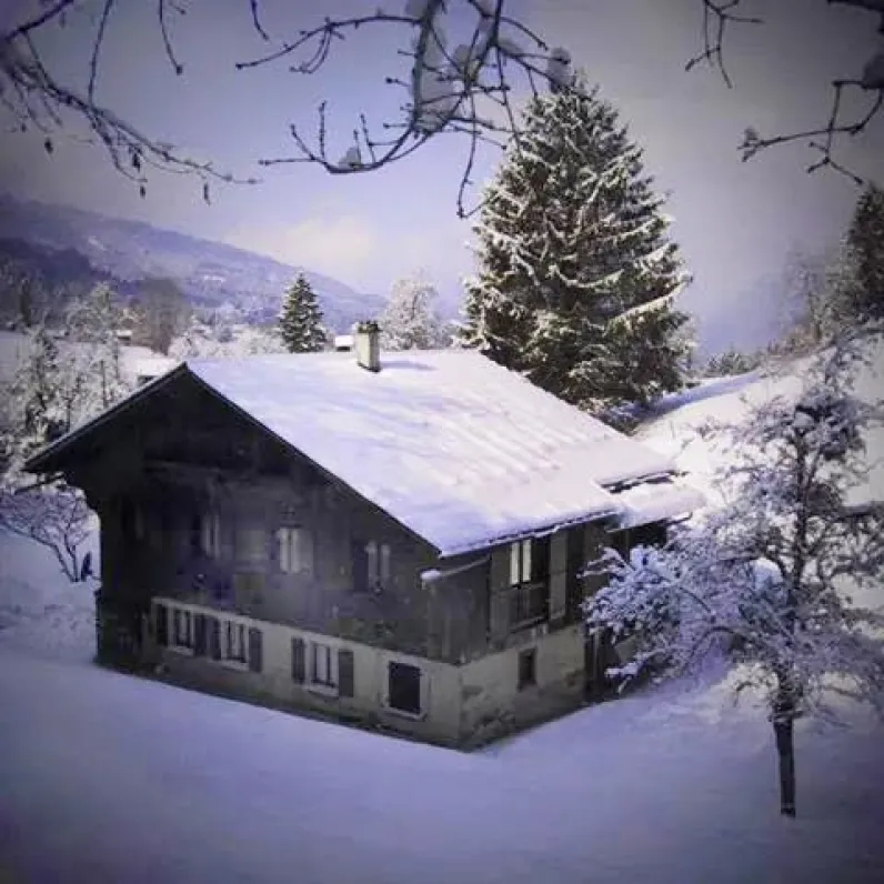 Samoëns-vercland  le bouquetin des rots