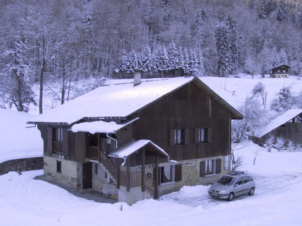 Samoëns-vercland  le bouquetin des rots