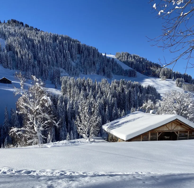 Grand chalet authentique  15 personnes  avec piscine