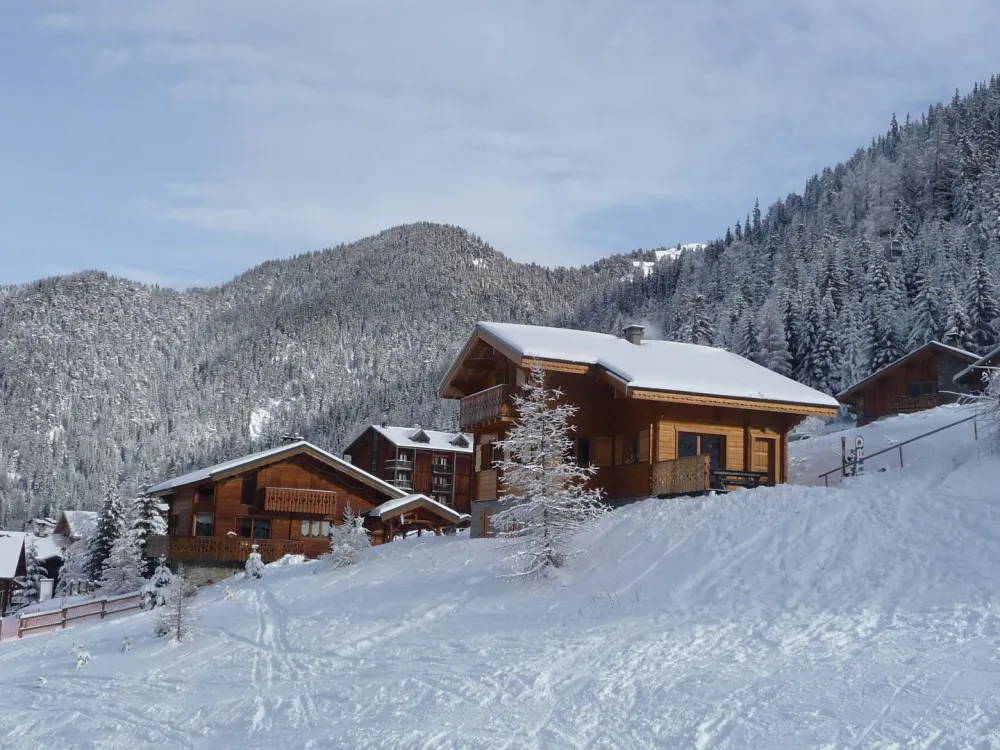 Chalet et son environnement