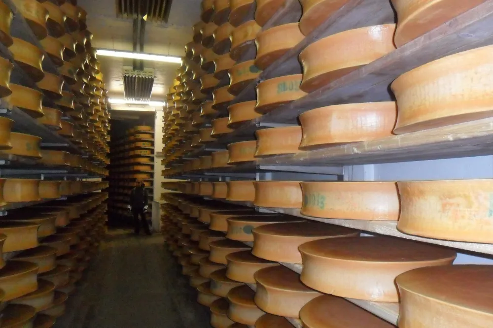 Visite de la fromagerie