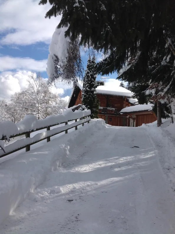 LE Chalet avec le  MONT BLANC