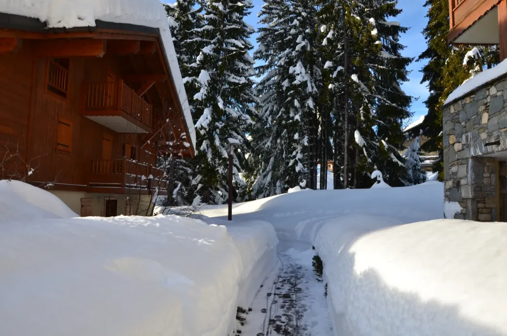 Chemin d'accès au chalet
