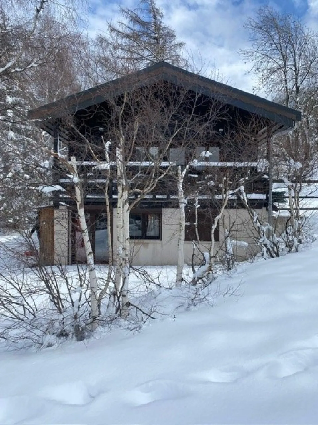 Chalet c au pied des pistes
