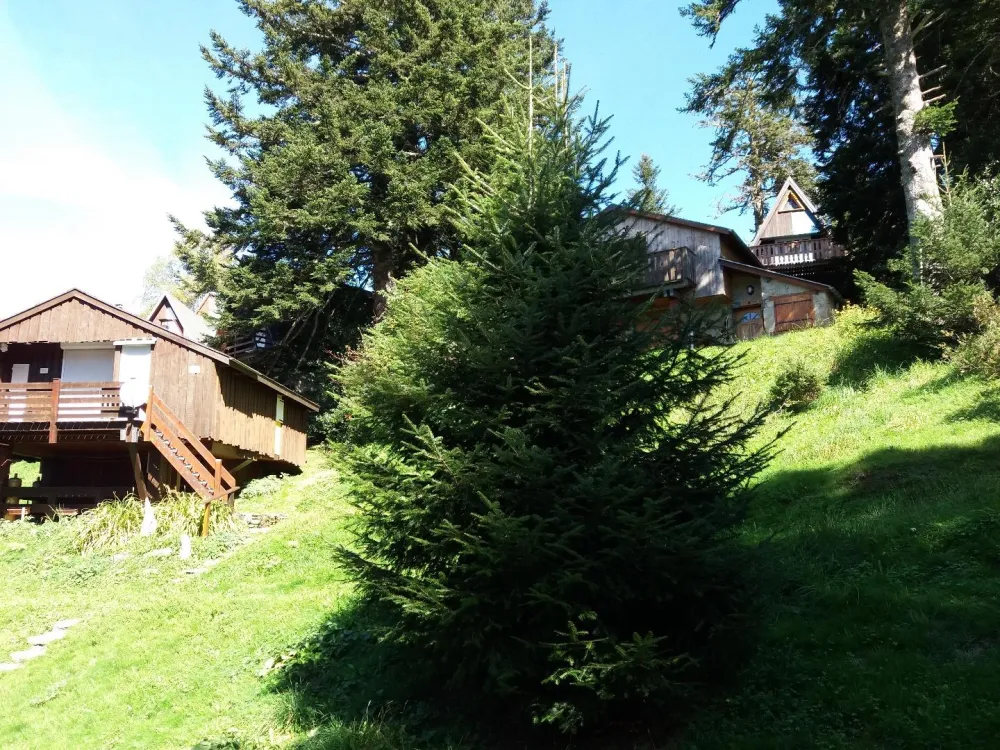 autour du chalet l'été
