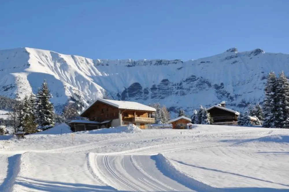 The chalet