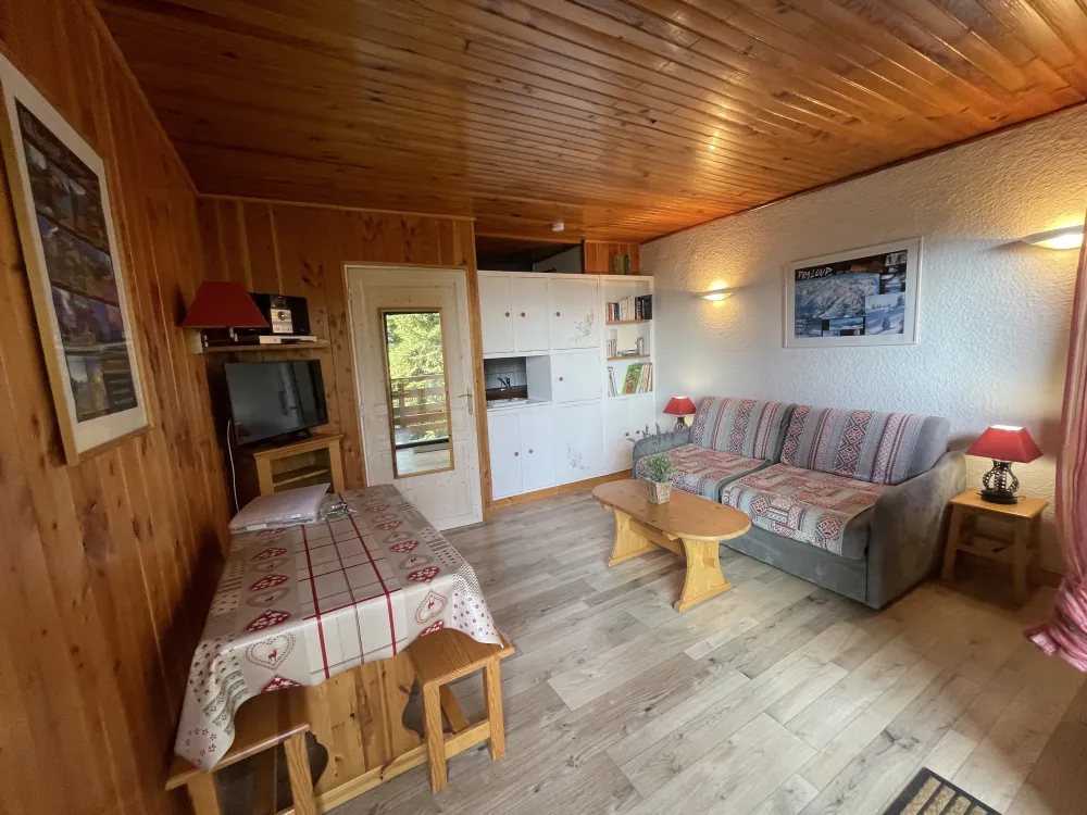 30 m²     3*     pra-loup 1600 au pied des pistes alpes du sud