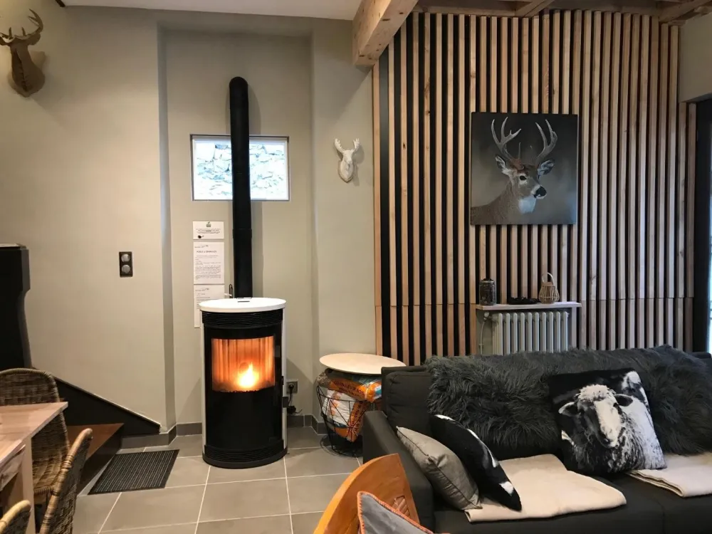 Son poêle "Ecoforest"aux granules pour une petite flambée 