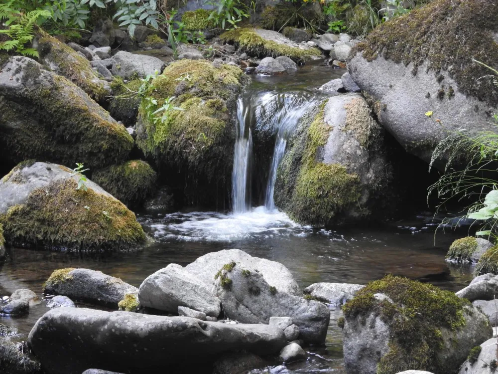 Balade nature 