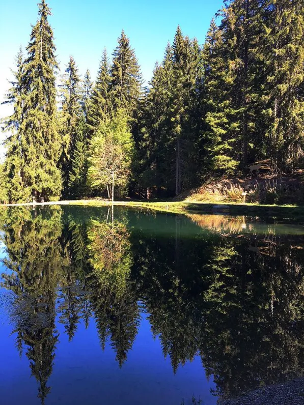 Randonnée lac des Evettes 