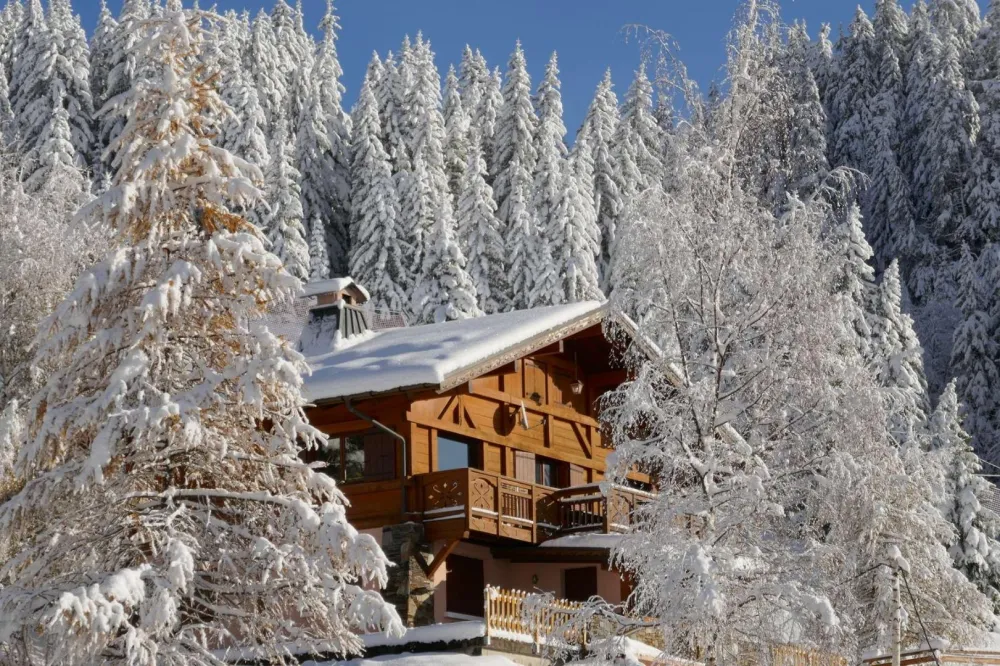 chalet vu de face