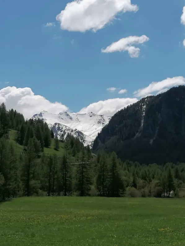"l'ecurie d'eliris" maison martin gendre la chalp ste agathe saint veran