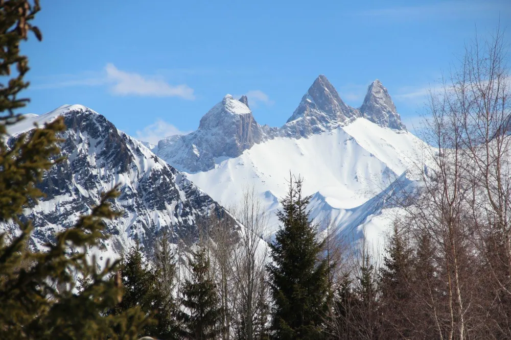 Vue sur les "Aiguilles d'Arve"