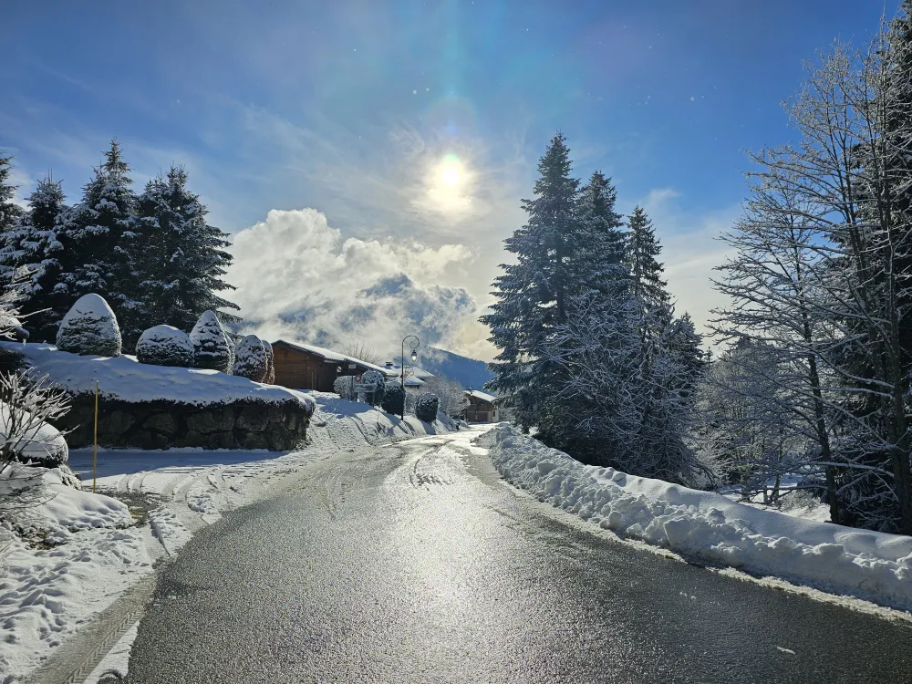 Grand chalet familial la tulipe