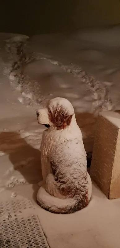 snow