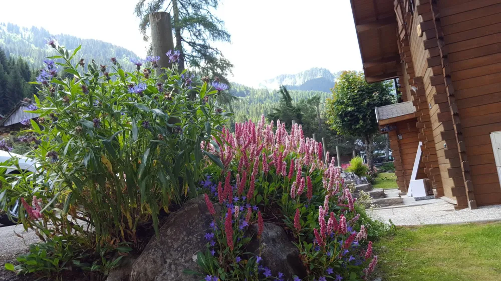 Chalet   les louveteaux
