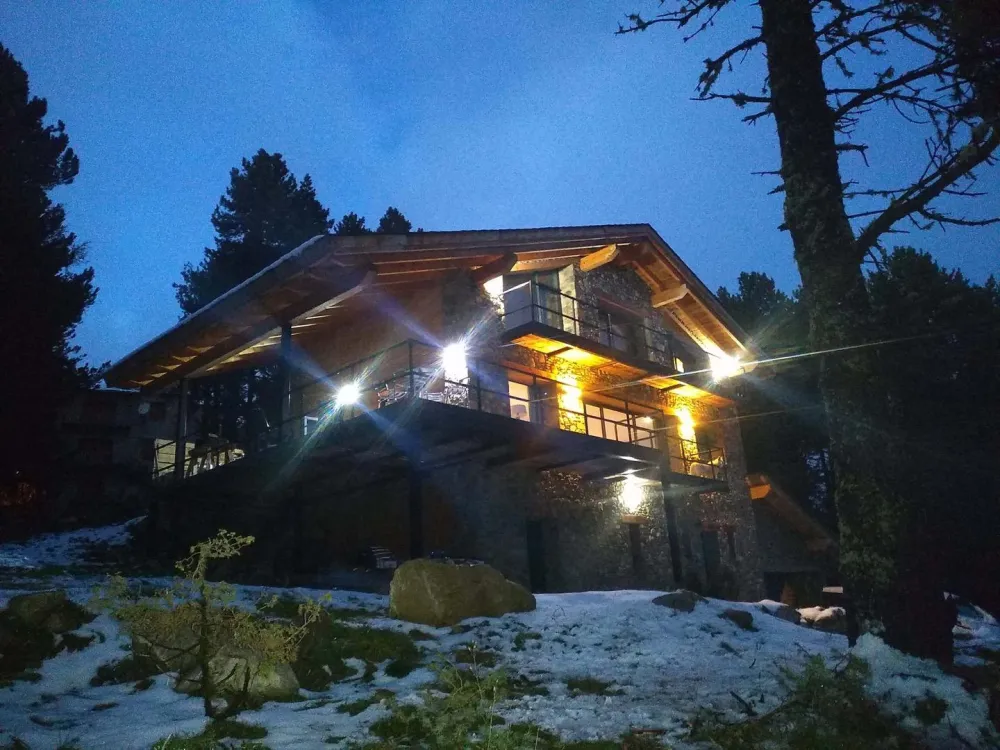 Chalet husky