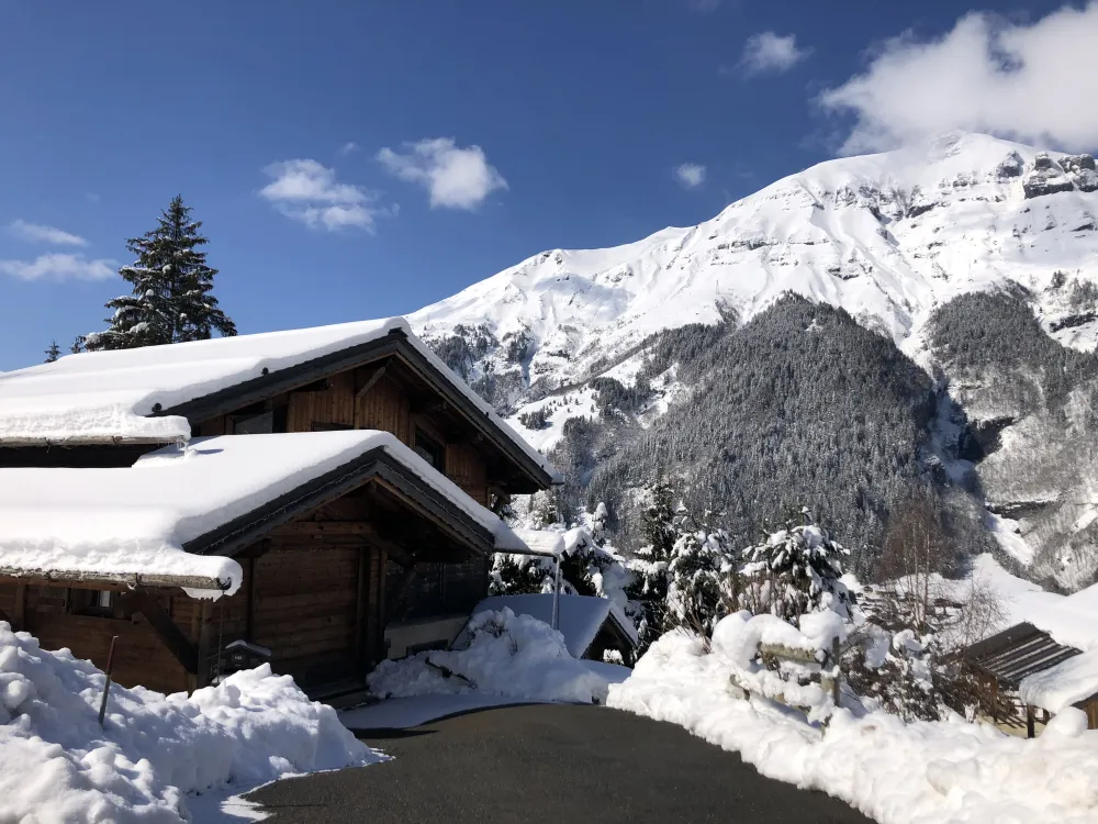 Superbe chalet 4* -  5 chambres - au pied du mont-blanc  avec sauna - jardin