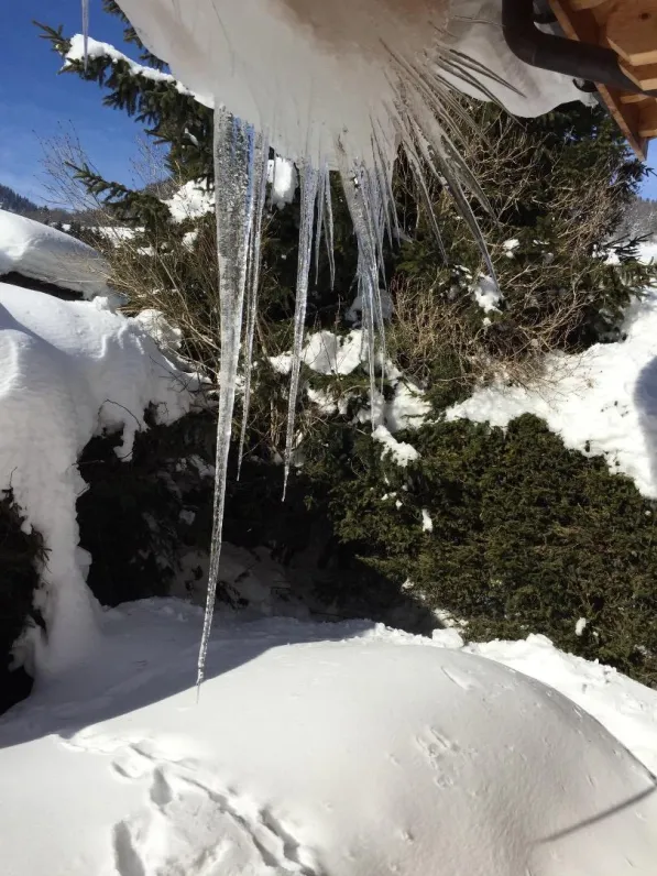 Vue neige