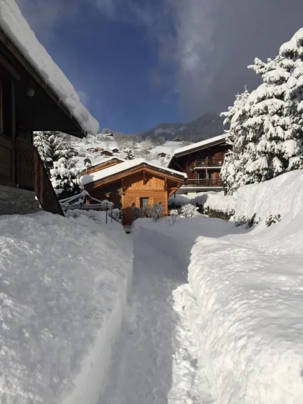 Le clos de l'ours - chalet 4 pièces
