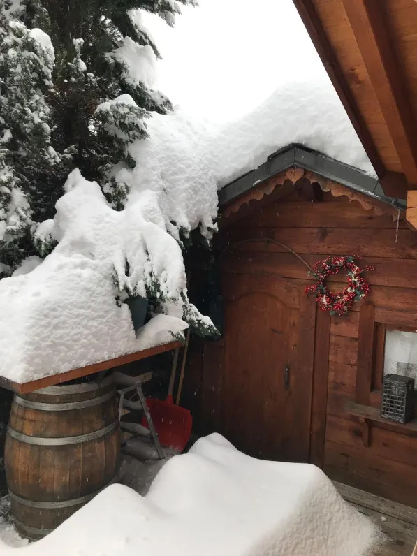Le clos de l'ours - chalet 4 pièces
