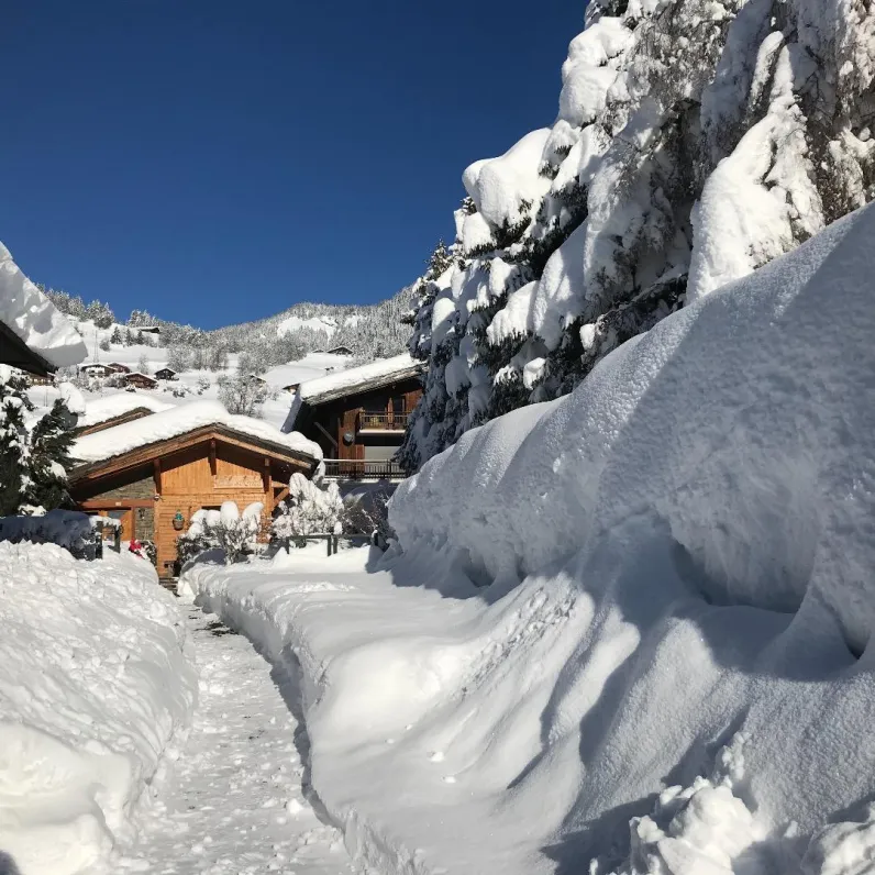 Le clos de l'ours - chalet 4 pièces