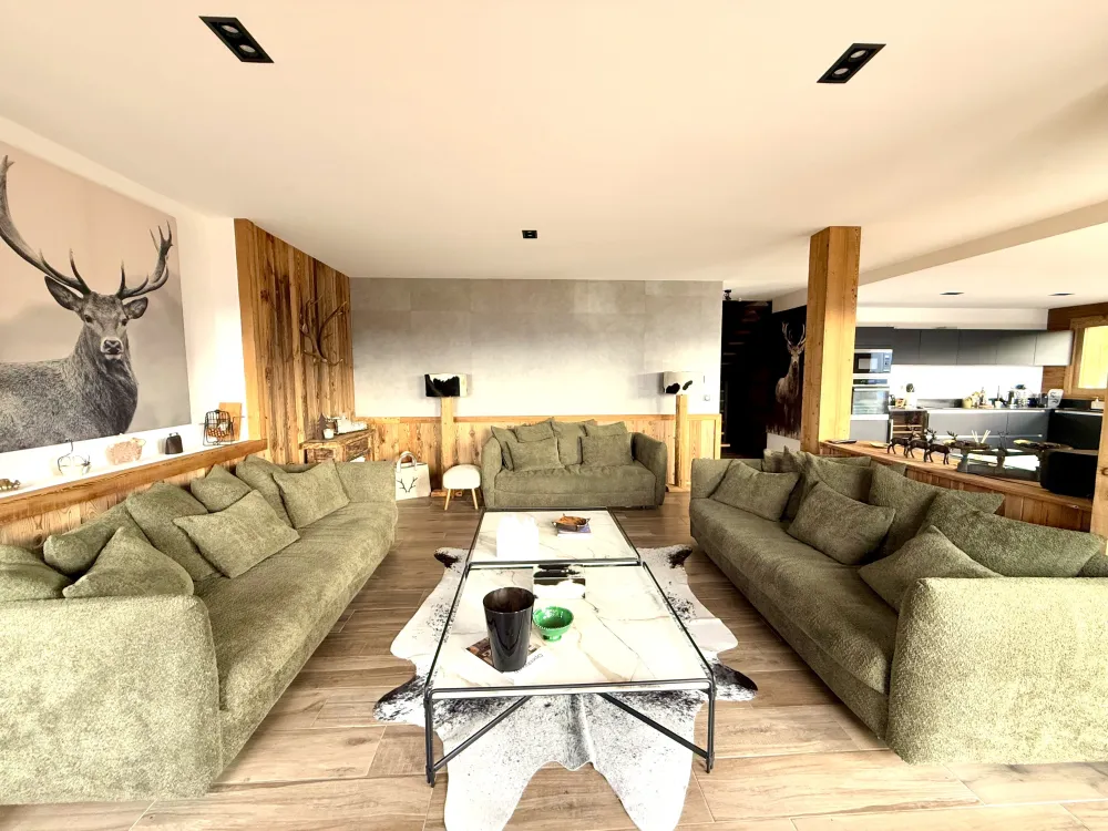 Salon spacieux et haut de gamme
