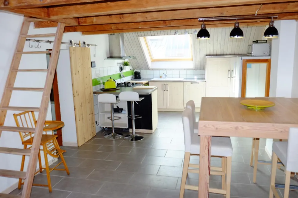 LES 2 ALPES / VENOSC : Le Snug avec Jaccuzi, Sauna, hammam en hiver et piscine en été (espaces en commun)
6 personnes 