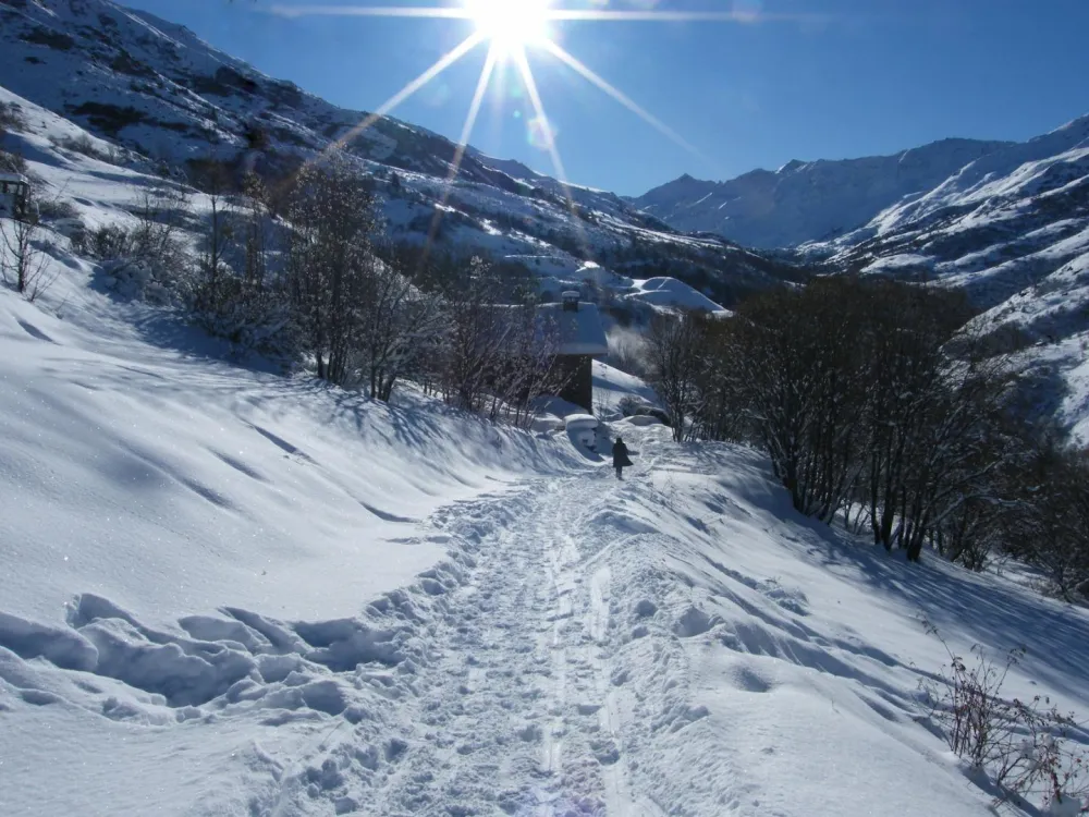 Un petit chemin mène au chalet