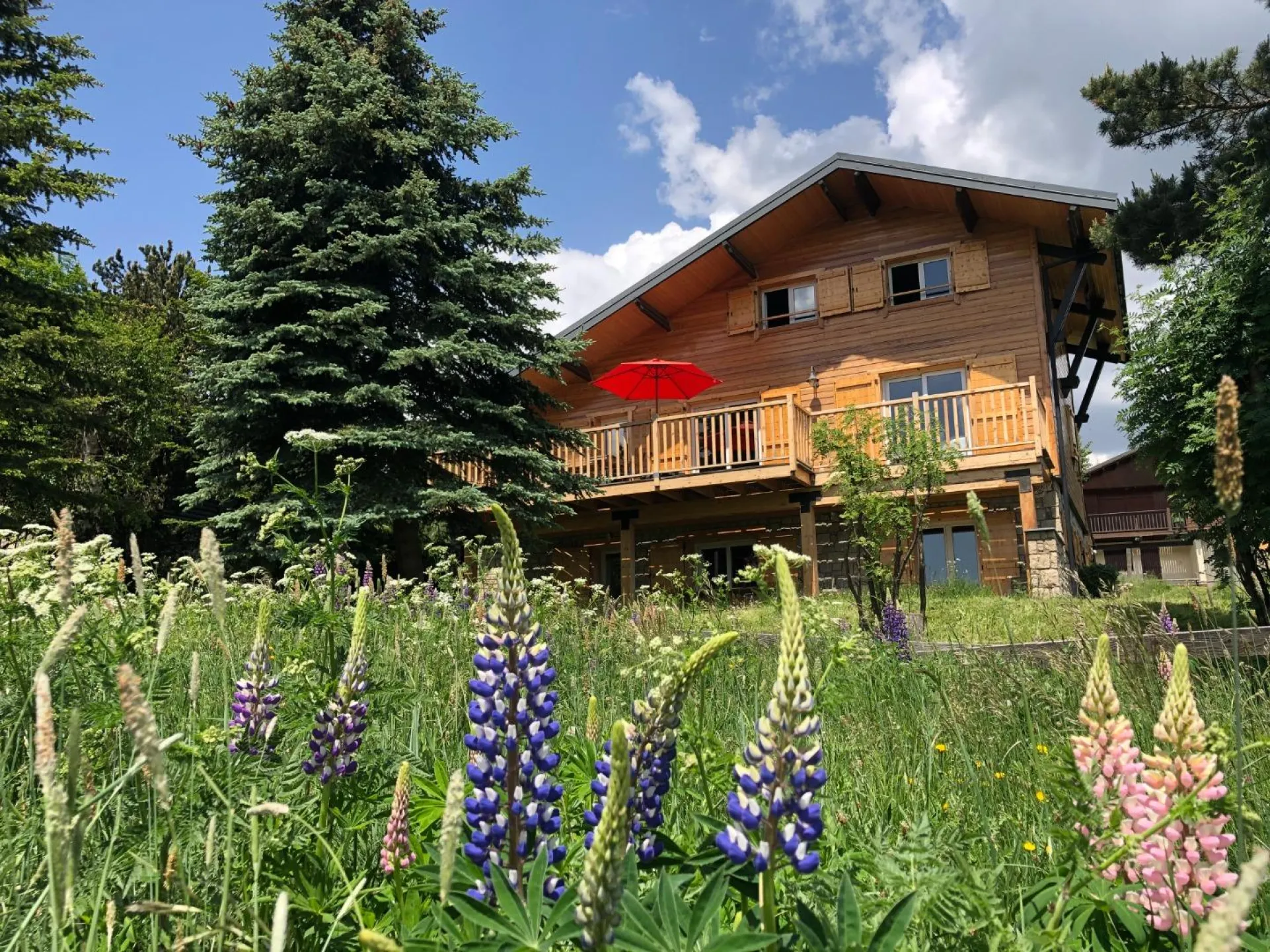 : t3 neuf dans chalet au calme et belle vue