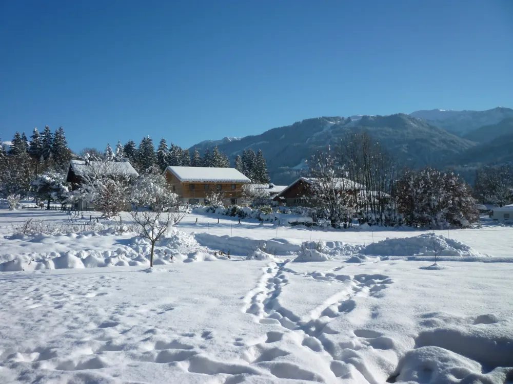 Jardin est sud hiver