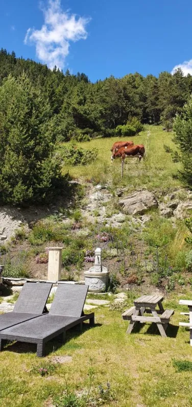 Chalet isolé pré sec