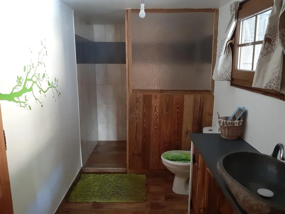 Salle d'eau et toilettes 