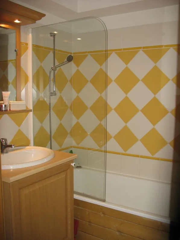 the bathroom and  the shower