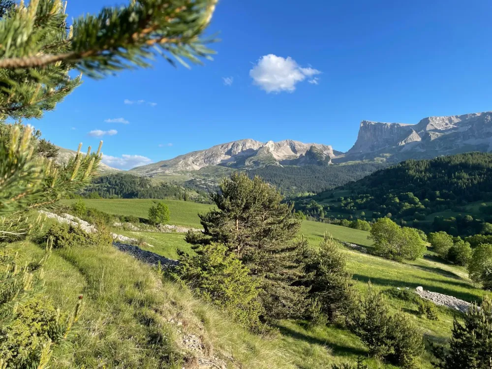 Chalet céline