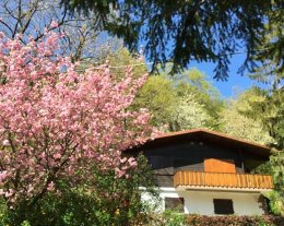 chalet entre VOSGES et ALSACE  au calme et belle vue