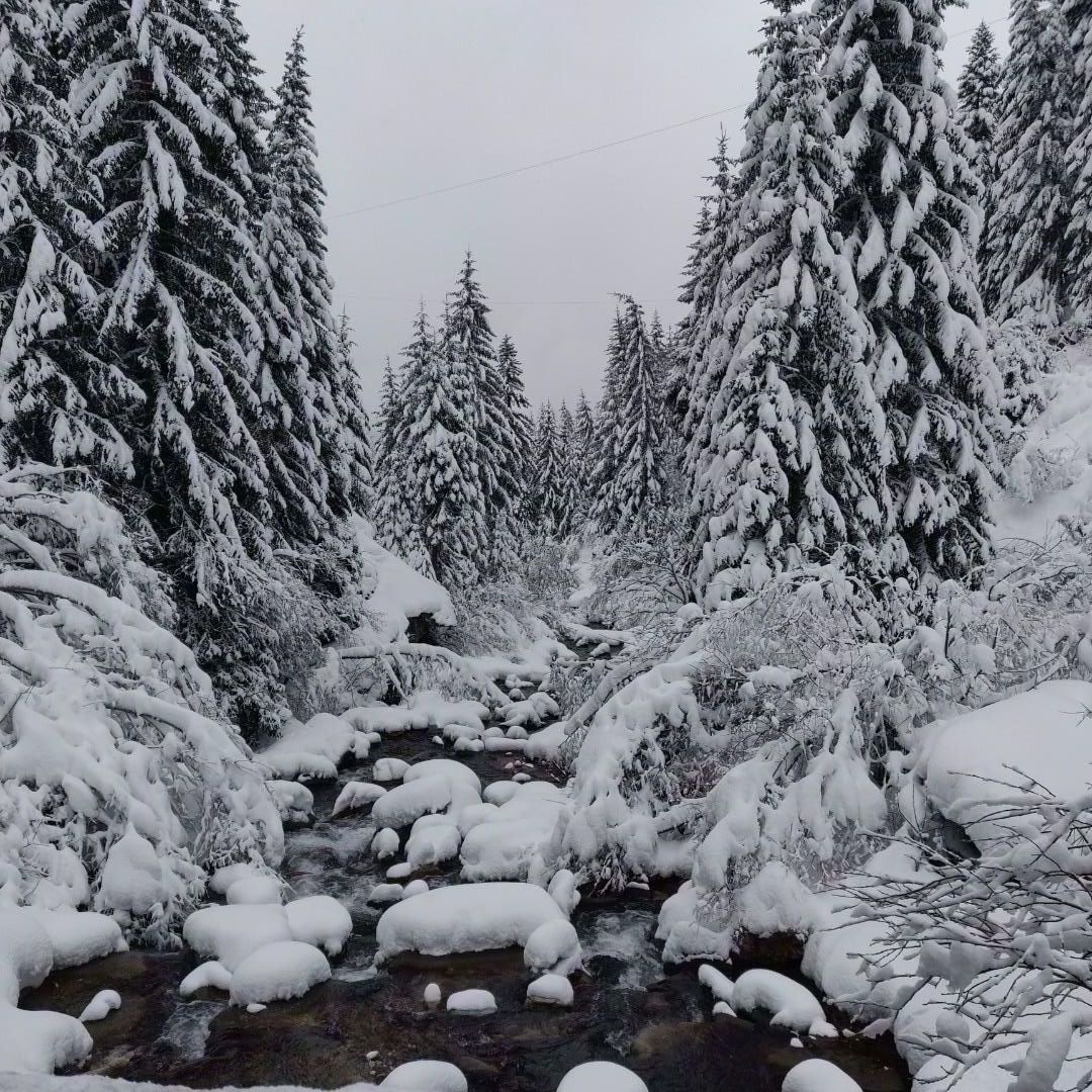 La rivière enneigée