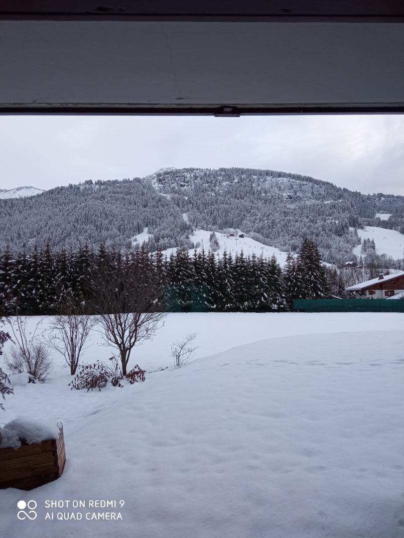 vue sur pistes de l'appartement
