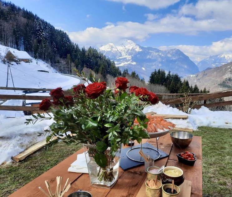 Chalet le Corti Crest-Voland Cohennoz, vue montagne