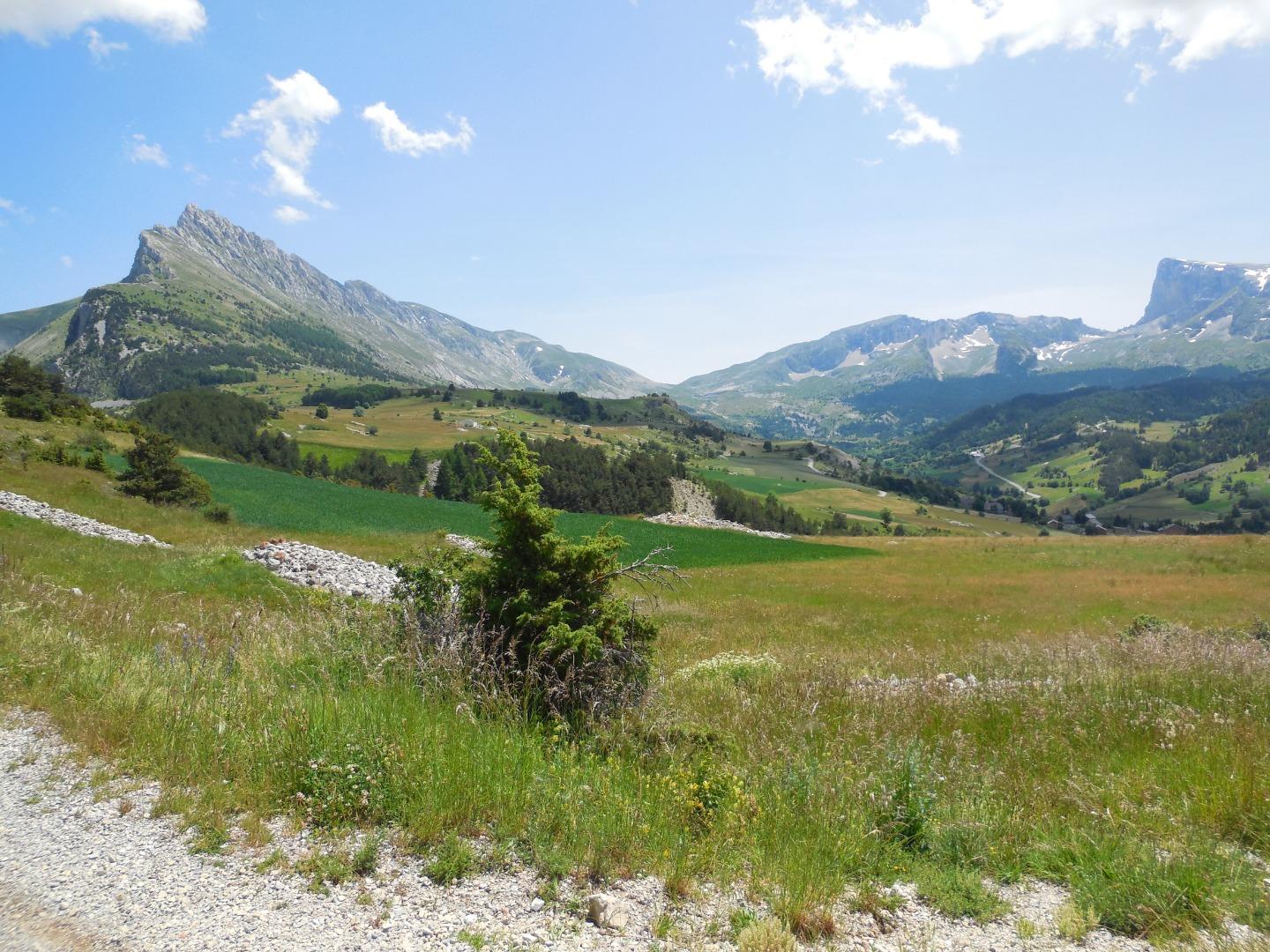 paysage en été