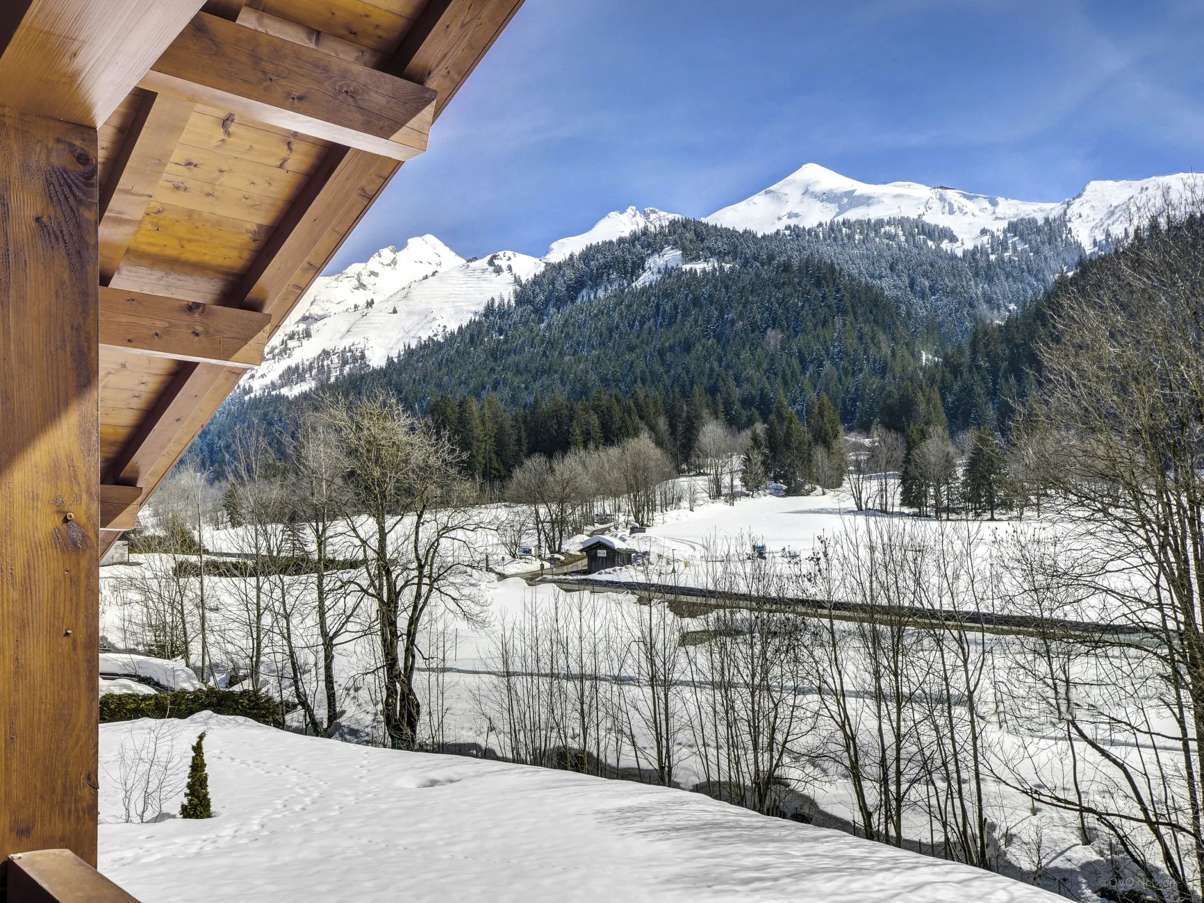 Vue depuis la propriété