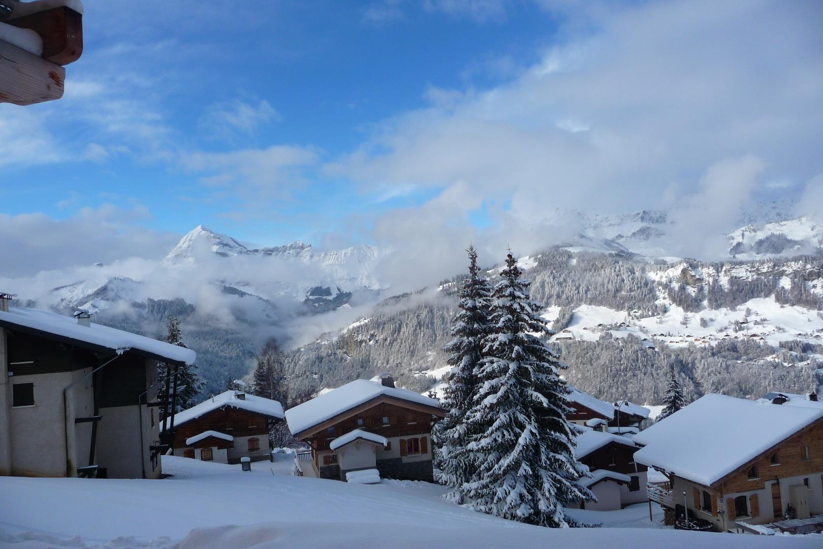 Vue depuis la terrasse