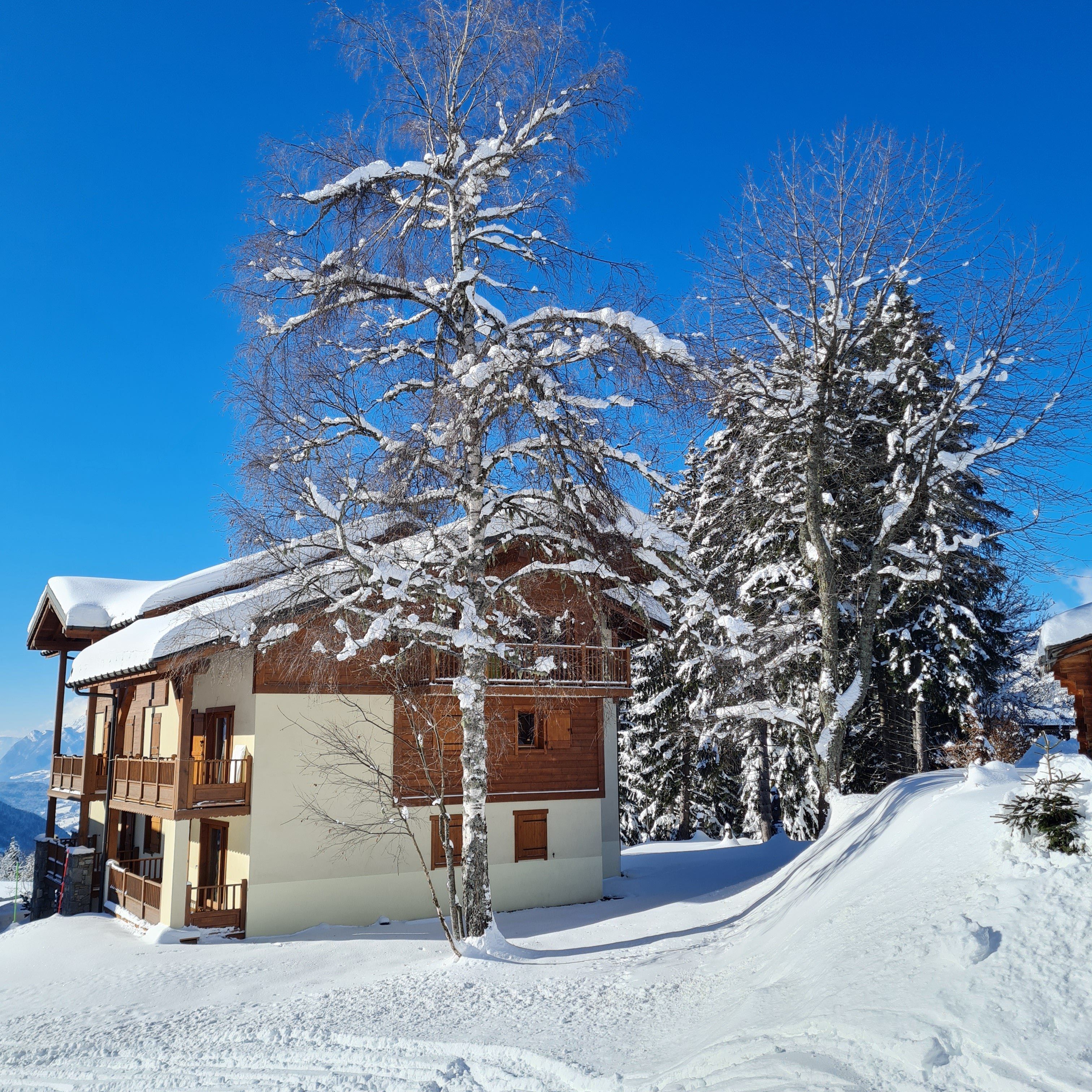 Vue du Chalet "Teddy" des Oursons où se situe l'appartement