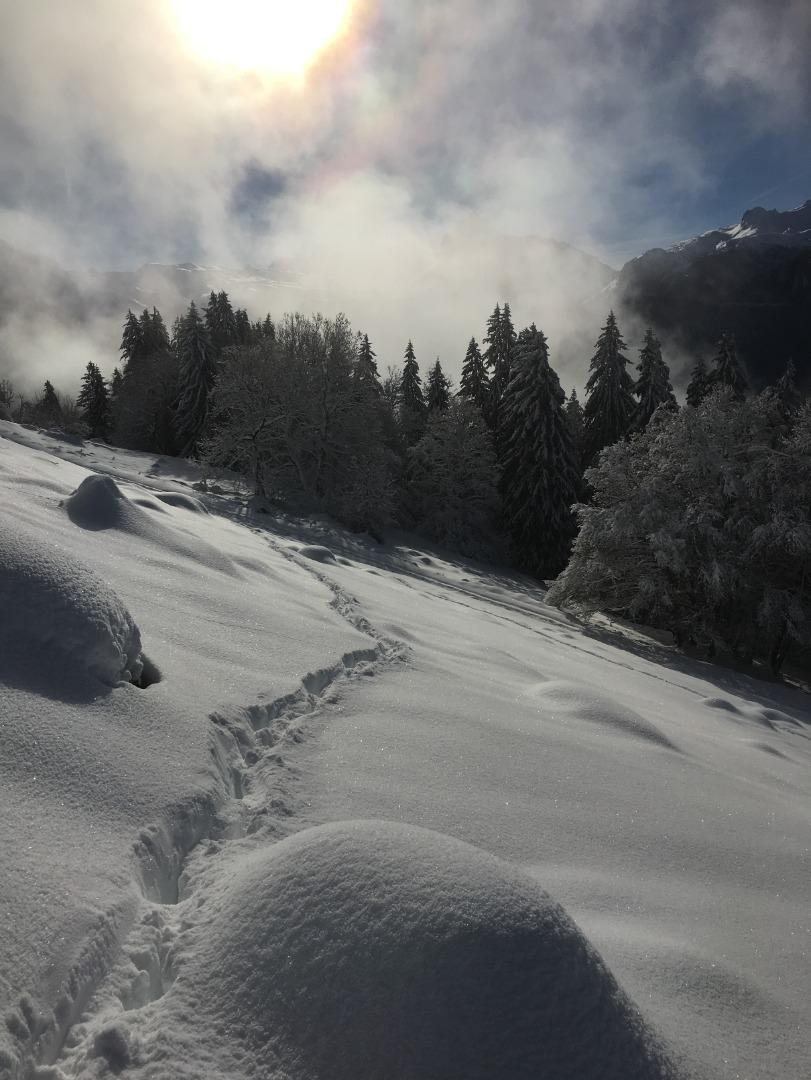 Rando en raquettes sur Criou. Ambiance féérique entre soleil et nuages